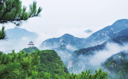 为什么我的抖音视频我附近的人刷不到?红迪网-精彩分享、互动交流